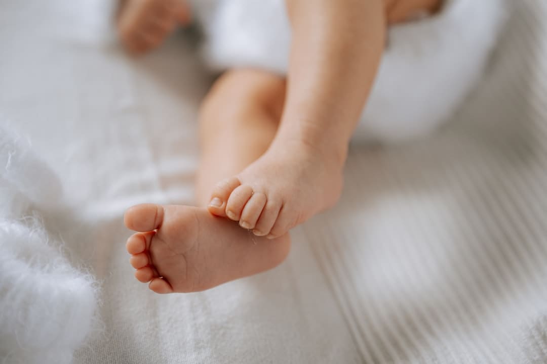 《子夜归》是改编自小说吗 子夜归哪个卫视台在播？
